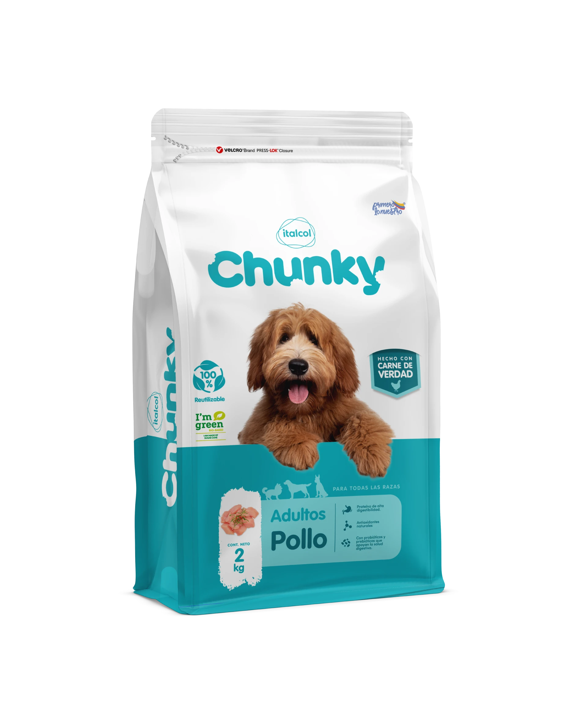 Chunky adulto pollo